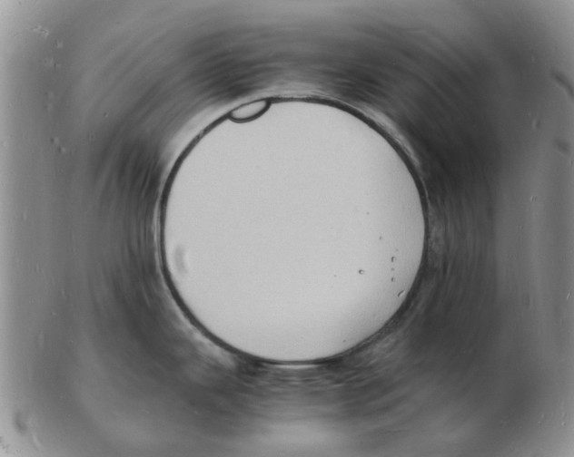 X0000102781343200809151054