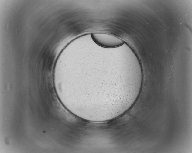 X0000102781344200809151054