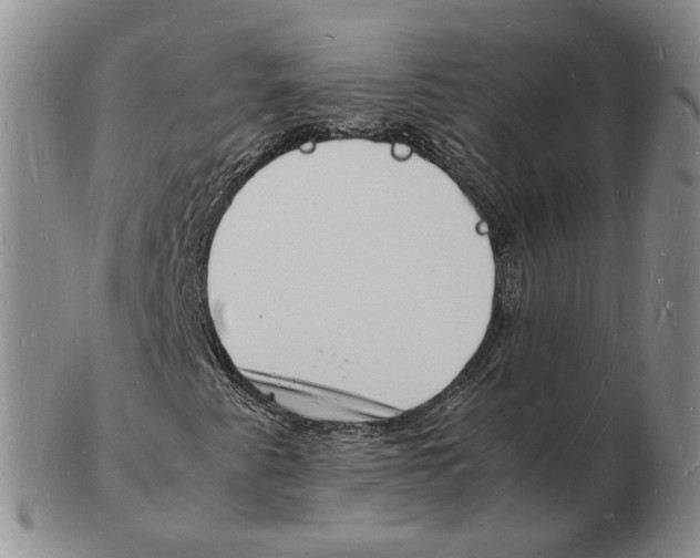 X0000102781345200809151053