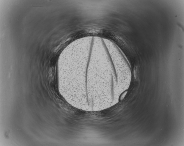 X0000102781347200809151053