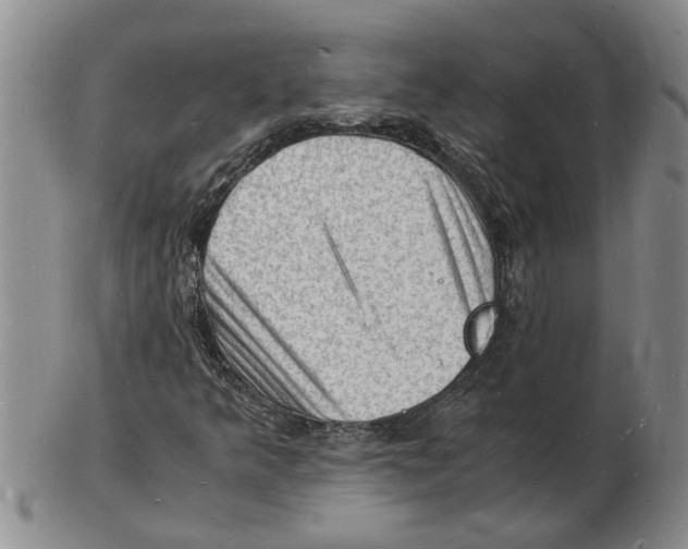 X0000102781349200809151053