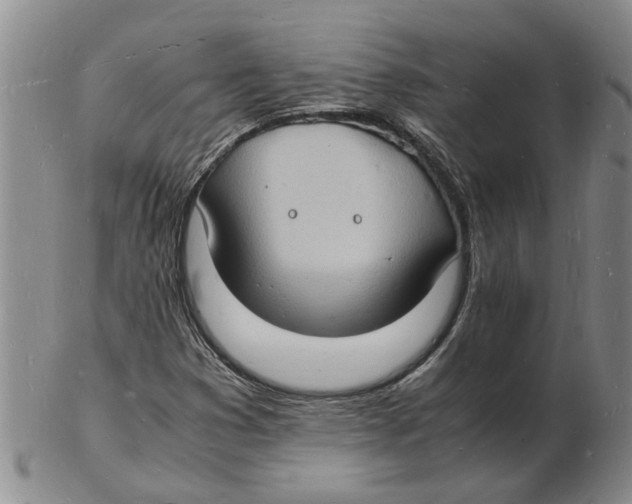 X0000102781353200809151053