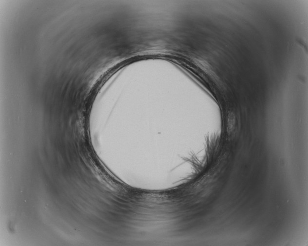 X0000102781356200809151053