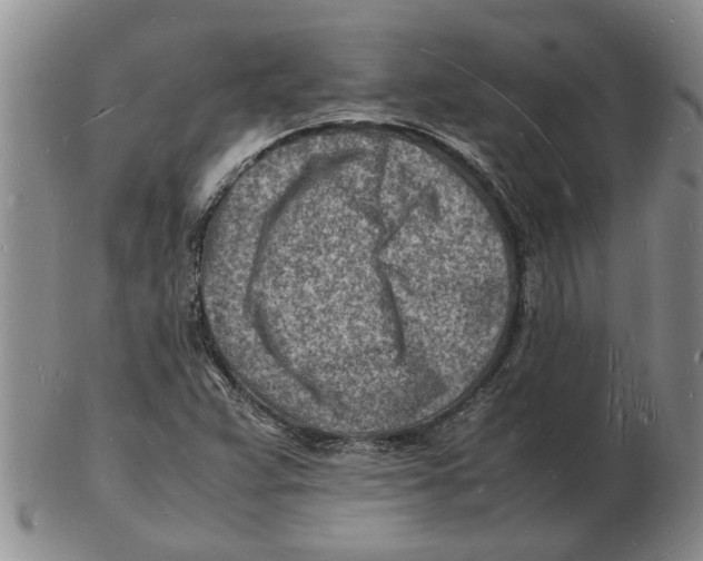 X0000102781359200809151053