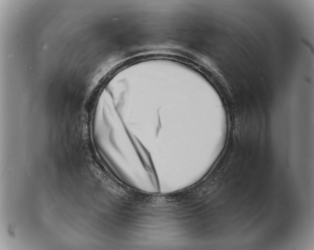 X0000102781360200809151053