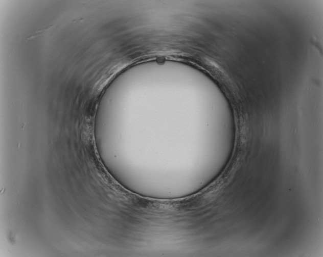 X0000102781361200809151053