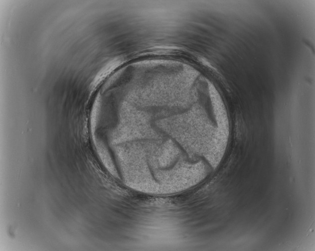 X0000102781362200809151053