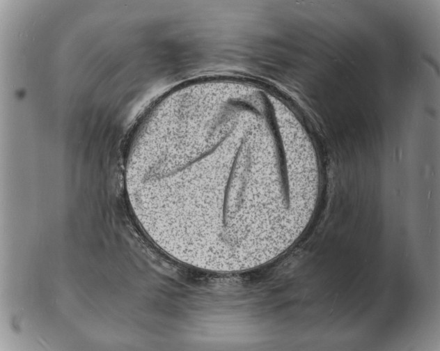 X0000102781363200809151053