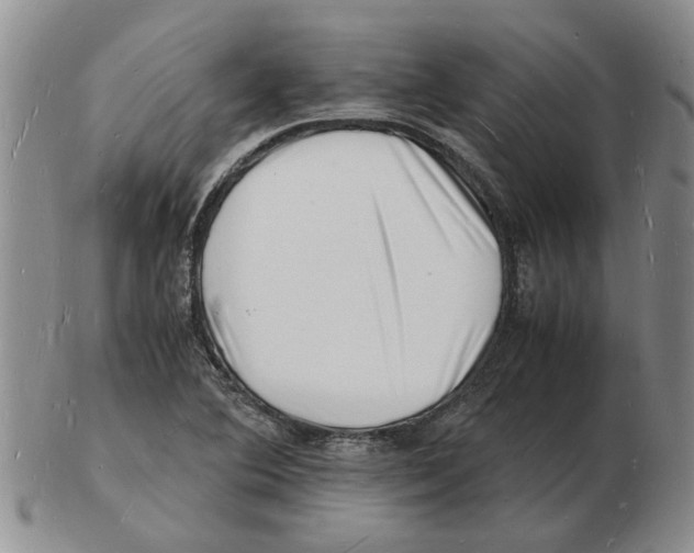 X0000102781364200809151053