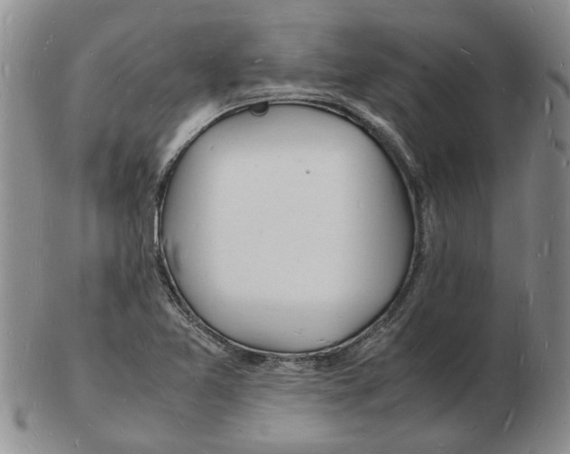 X0000102781365200809151053