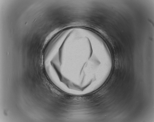 X0000102781366200809151053