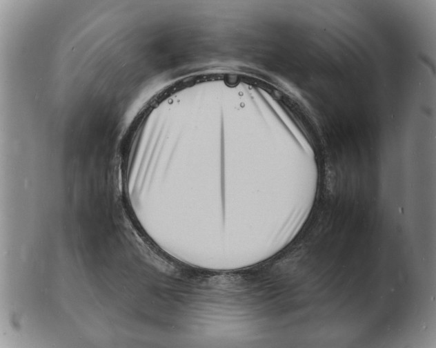 X0000102781368200809151053