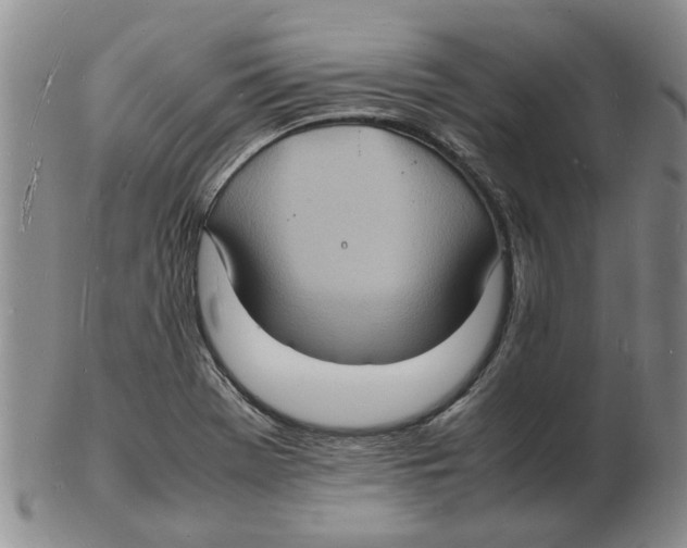 X0000102781369200809151053