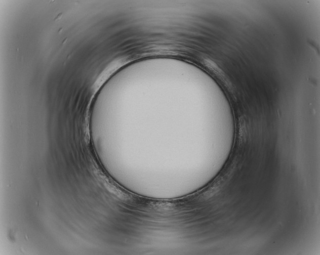 X0000102781370200809151053