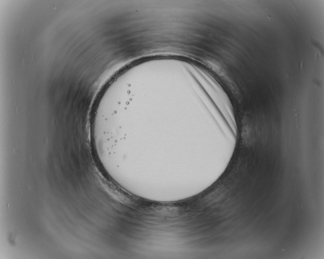 X0000102781372200809151053