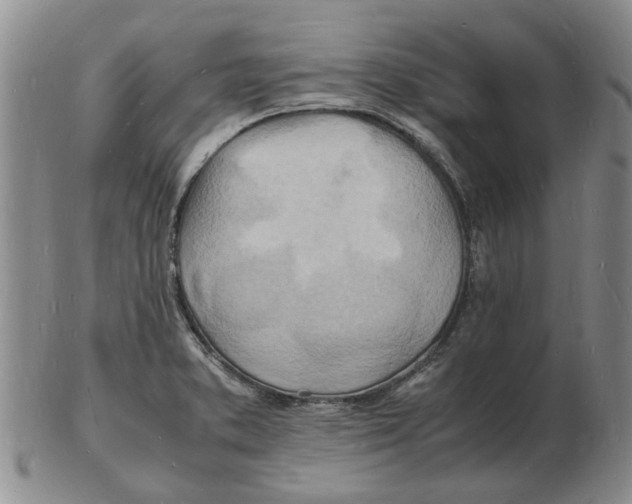 X0000102781373200809151053