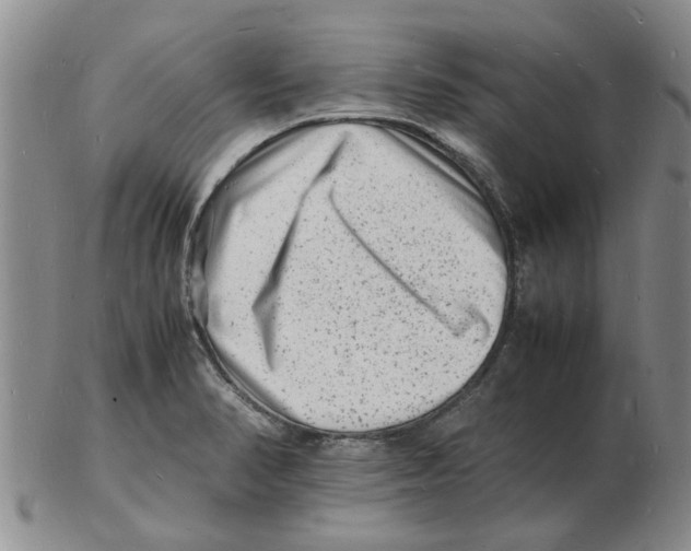 X0000102781374200809151053