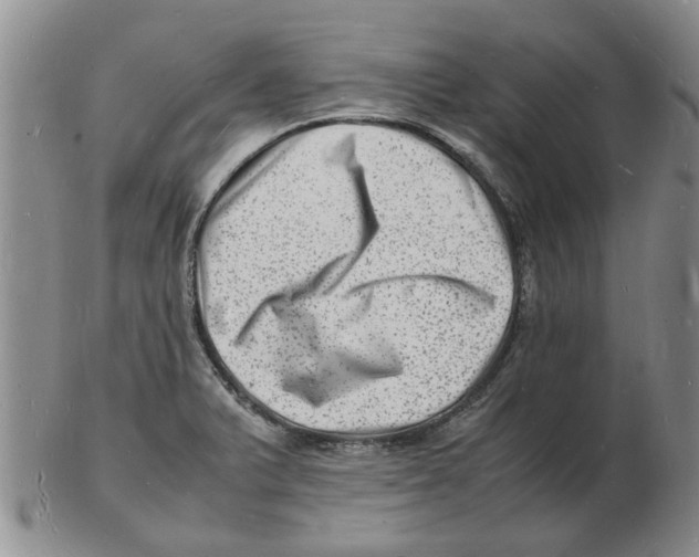 X0000102781375200809151053