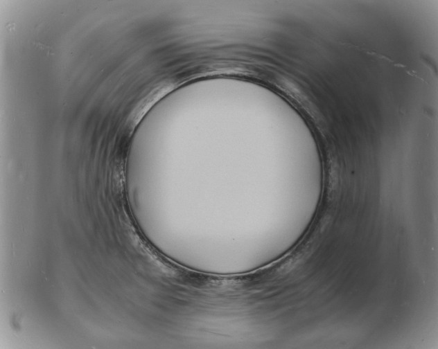 X0000102781377200809151053