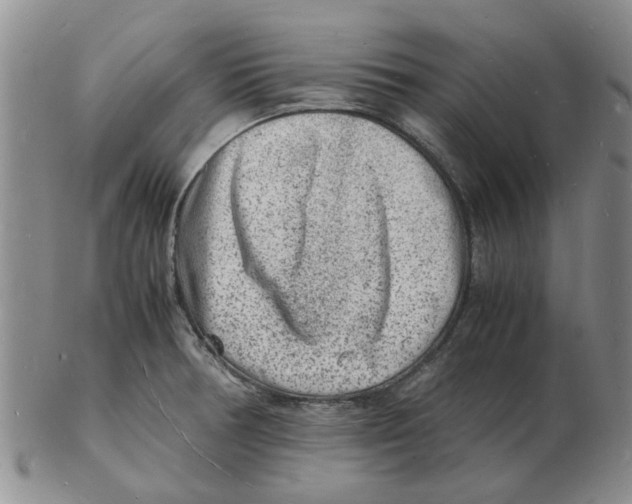 X0000102781378200809151053