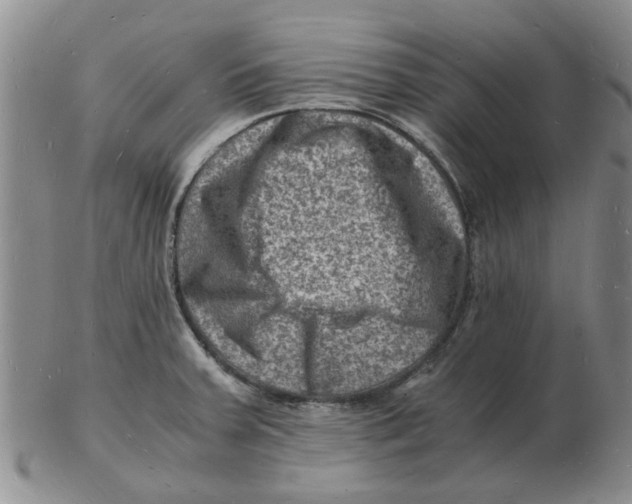 X0000102781379200809151053