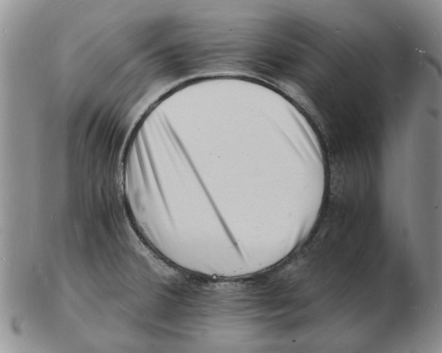 X0000102781380200809151053