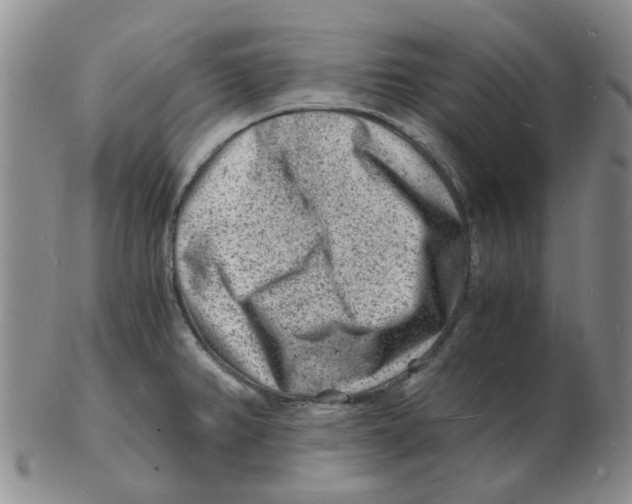 X0000102781382200809151053