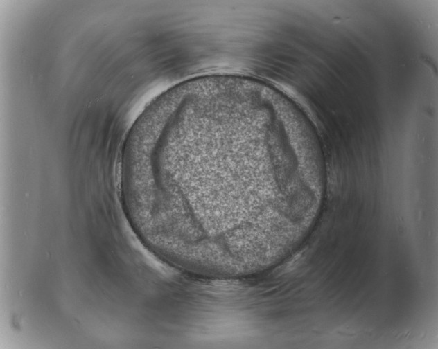 X0000102781383200809151053