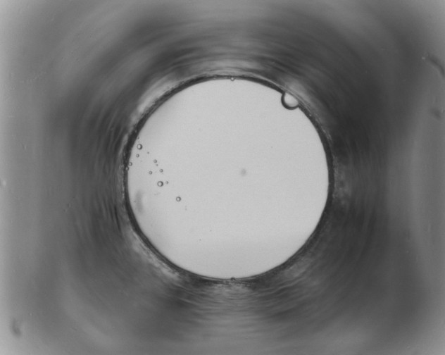 X0000102781384200809151053