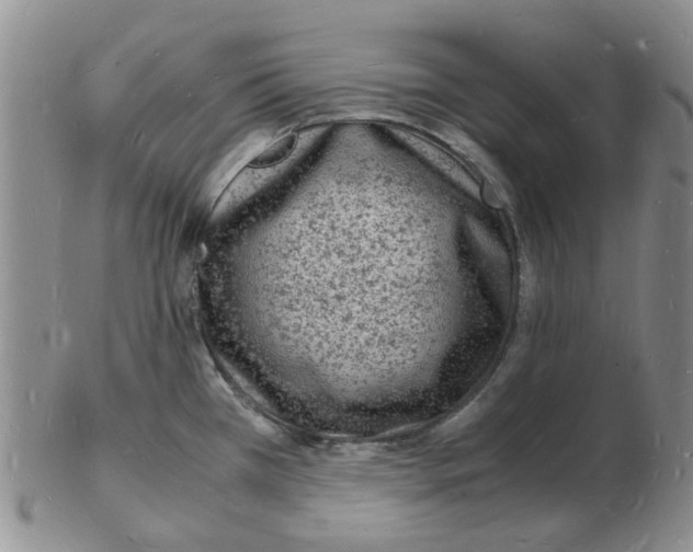 X0000102781385200809151053