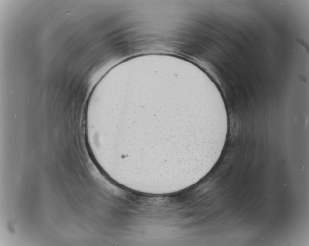 X0000102781387200809151053