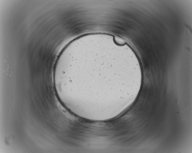 X0000102781388200809151053