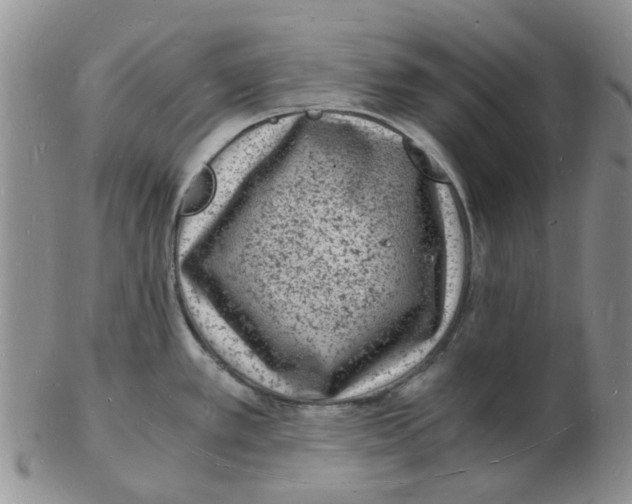 X0000102781389200809151053