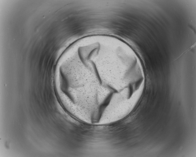 X0000102781390200809151053