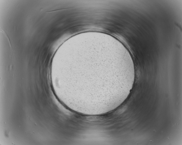 X0000102781391200809151053