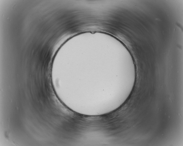 X0000102781392200809151053