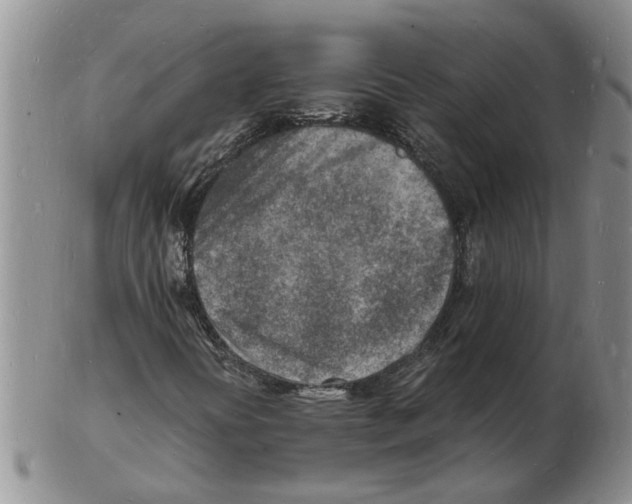 X0000102781394200809151052