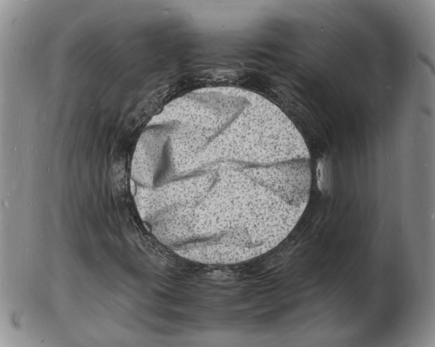 X0000102781395200809151052