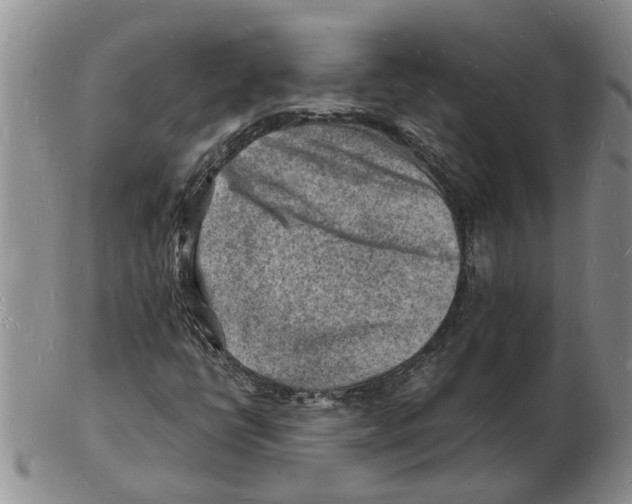 X0000102781398200809151052