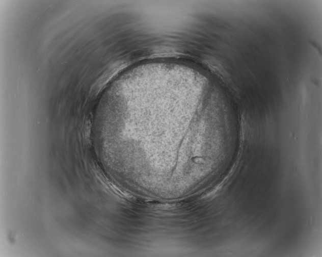 X0000102781401200809151052