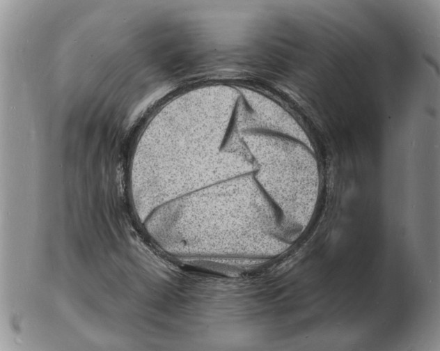 X0000102781402200809151052