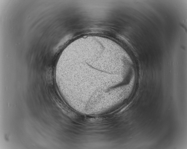 X0000102781403200809151052