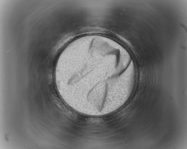 X0000102781407200809151052