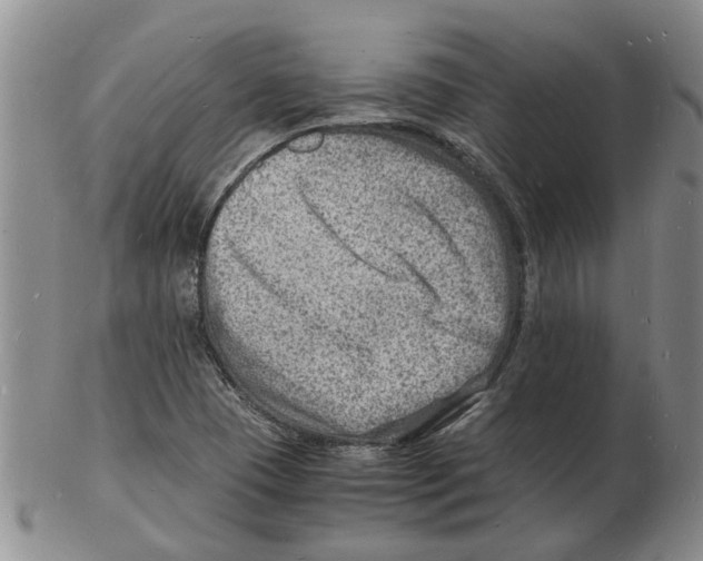 X0000102781409200809151052