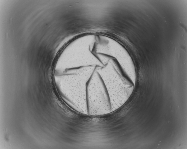 X0000102781412200809151052