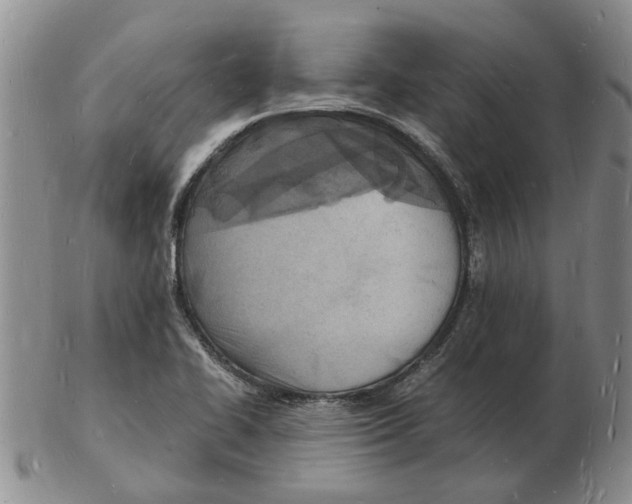 X0000102781414200809151052