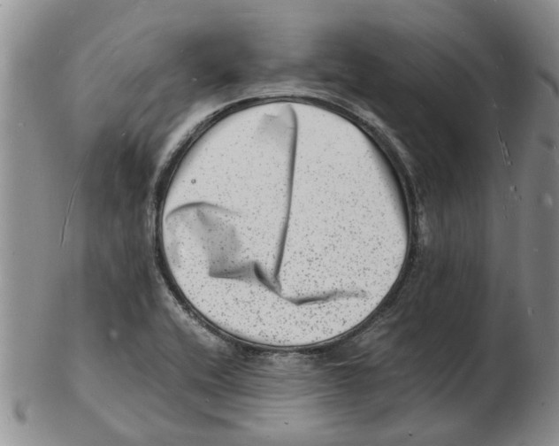 X0000102781416200809151052