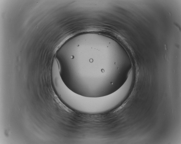 X0000102781417200809151052