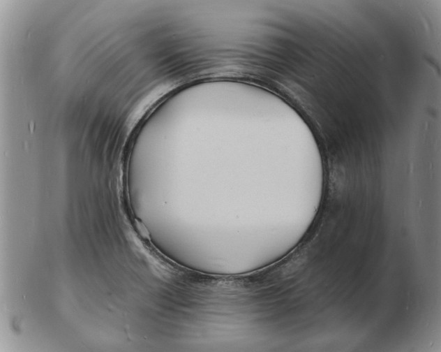 X0000102781418200809151052