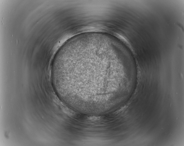 X0000102781419200809151052